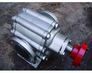 ZYB-300不銹鋼渣油泵